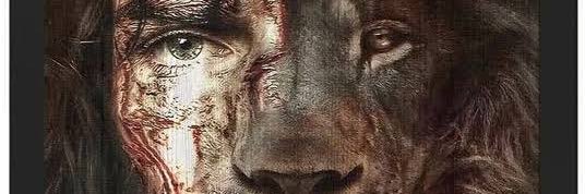 willmrrra's profile banner image