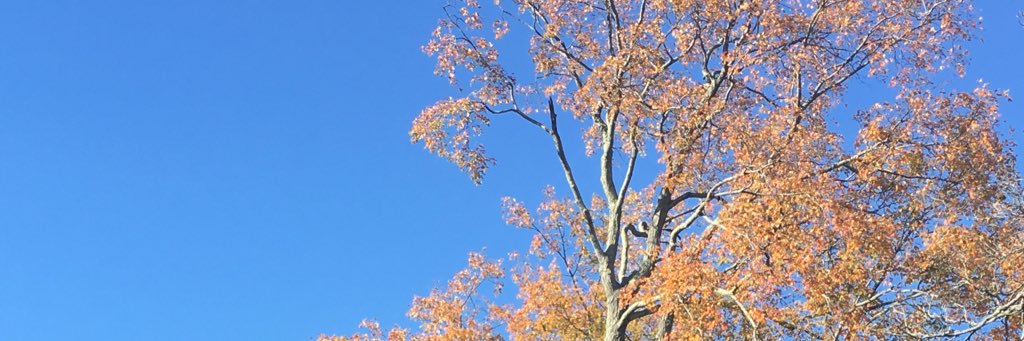 Begoña Glez Suarez banner