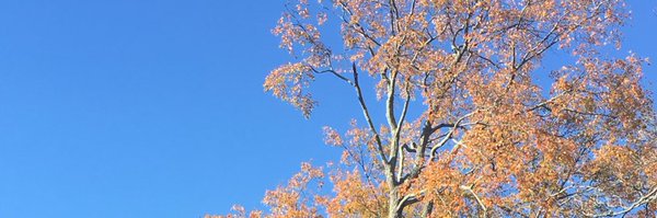 Bglezsuarez Profile Banner