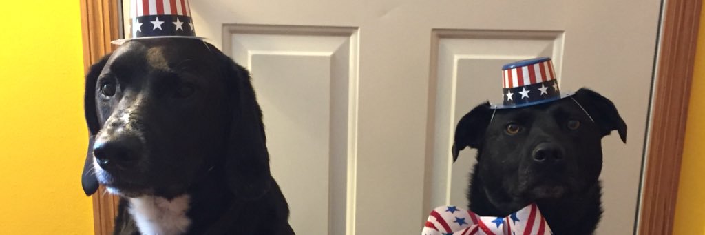 BooChata's profile banner image