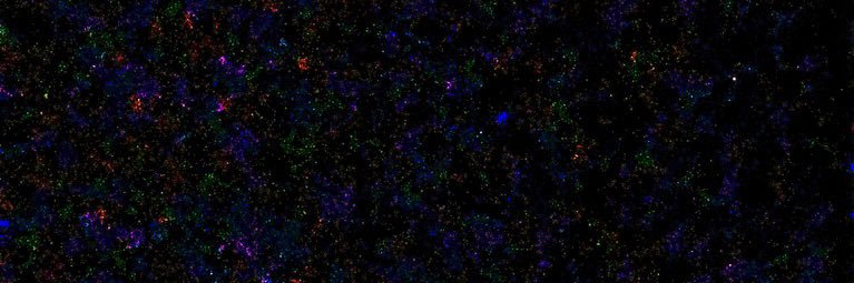 nthnwei's profile banner image