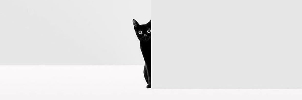 fahadfuse's profile banner image