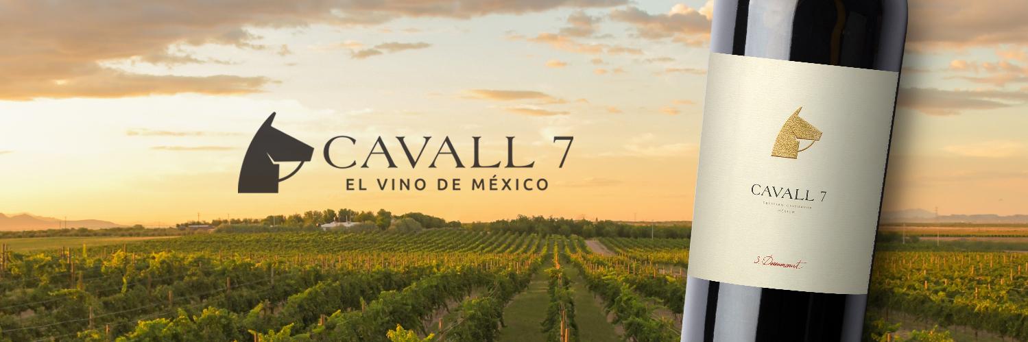 cavallmx's profile banner image