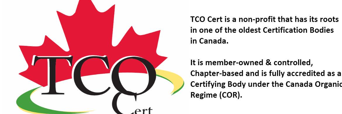 Crystal Clarke banner