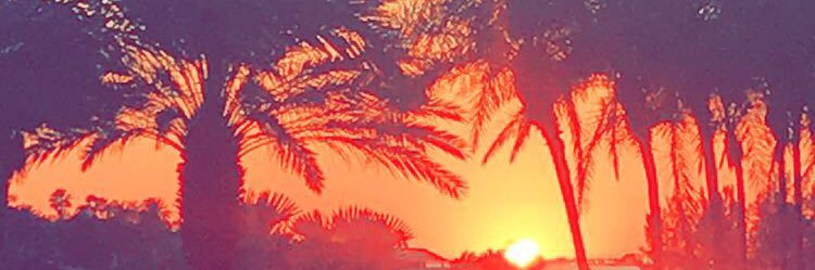 Geoffrey_Earl's profile banner image