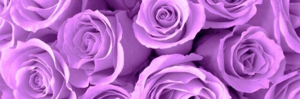 seerofIight's profile banner image