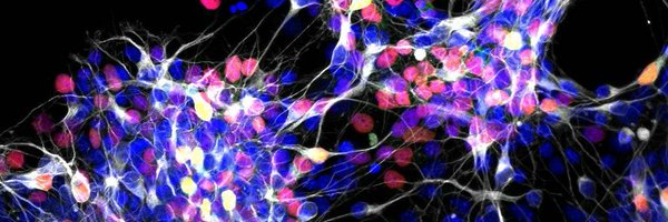 LatorreLab Profile Banner