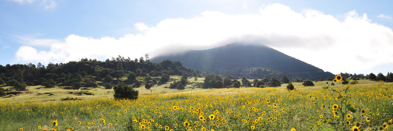Capulin Volcano NM banner
