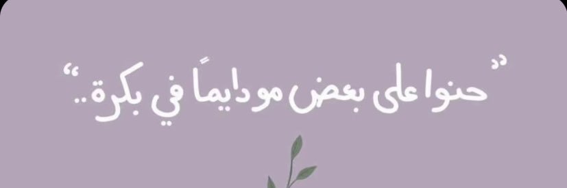 alanoudfayz's profile banner image