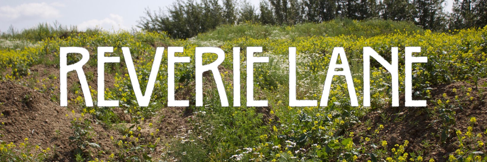 Reverie Lane Band banner