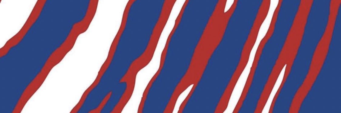 cadyde's profile banner image