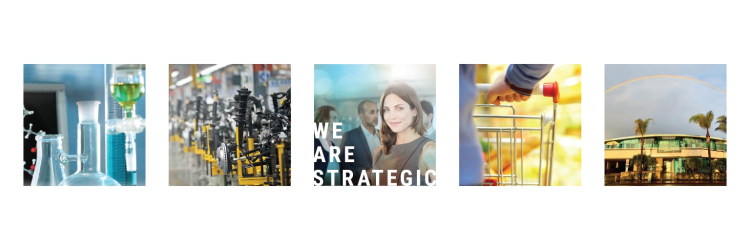 Strategic Information Group banner