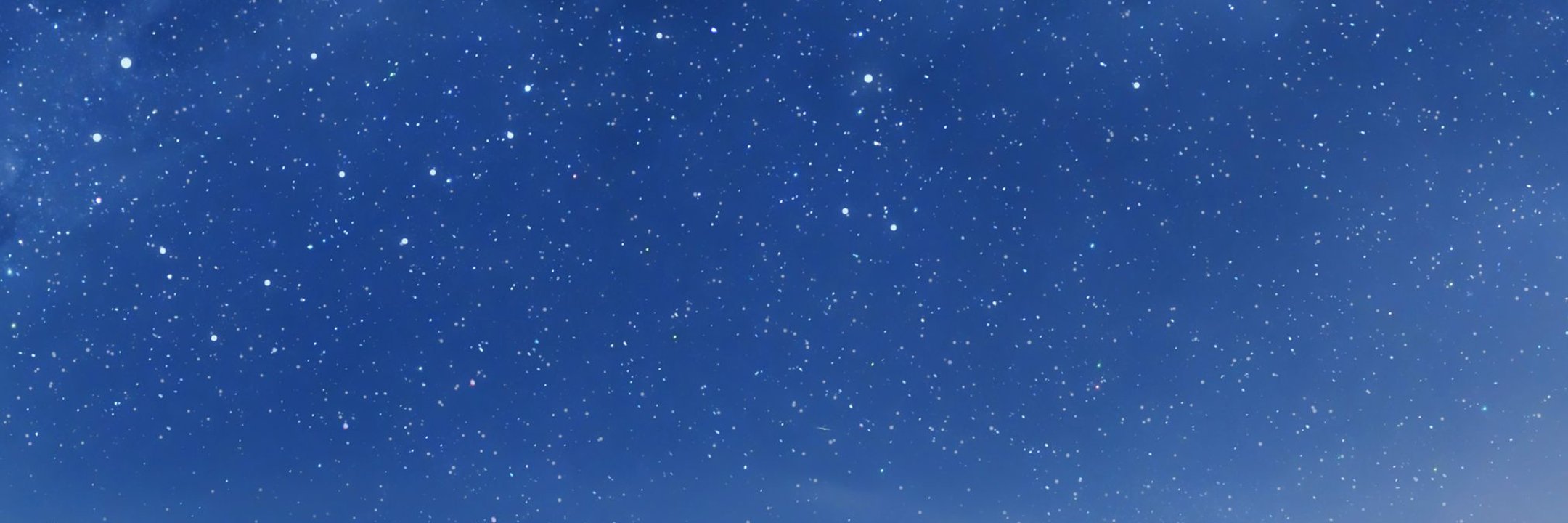 pelz's banner