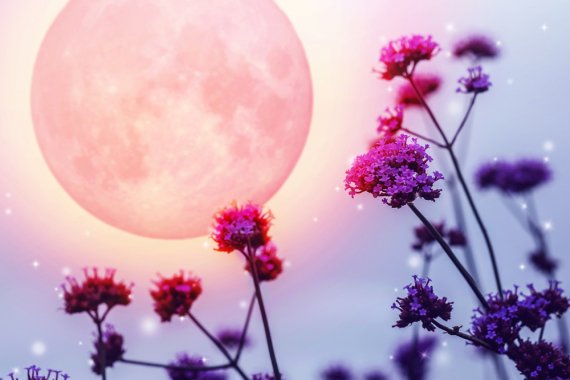 Astro_Ange's profile banner image