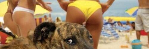 Roberto Salas banner