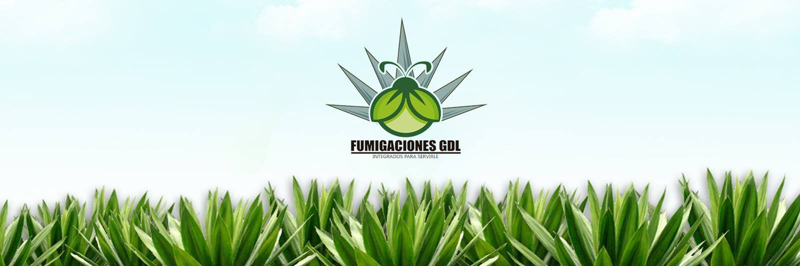 gdlfumiga's profile banner image