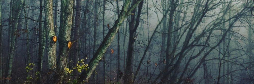 gabe_vinson's profile banner image