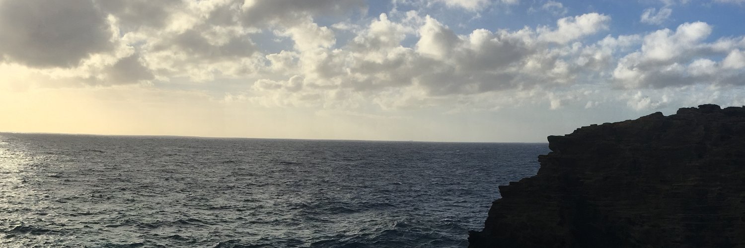 mauzanet's profile banner image