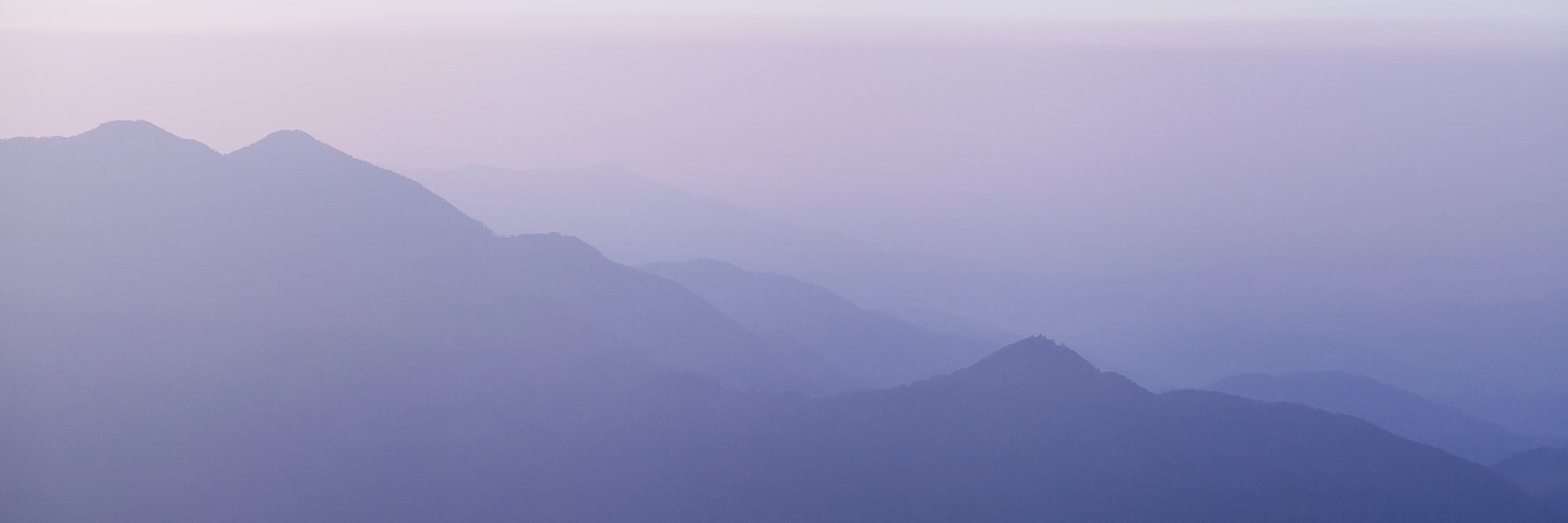 FreyaTerray's profile banner image