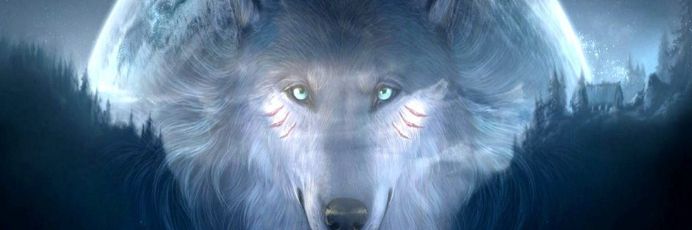 Wolfie banner