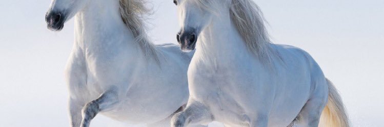 mt__0001's profile banner image