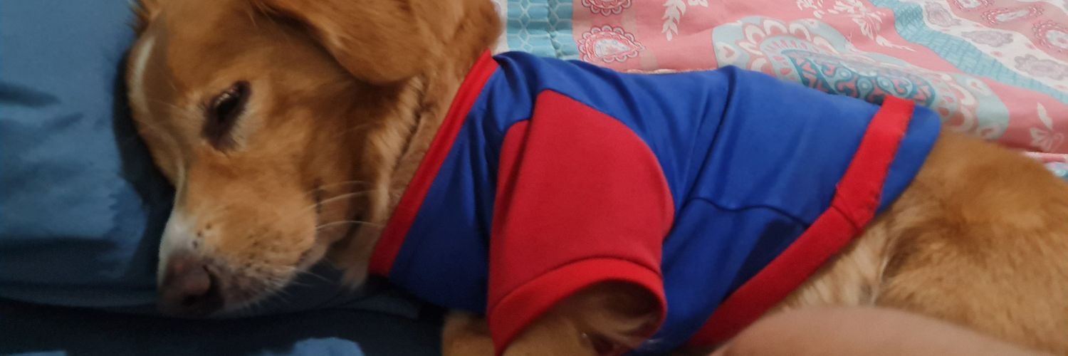 Georgiumm's profile banner image