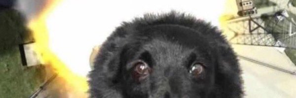 Scrap_ssb Profile Banner