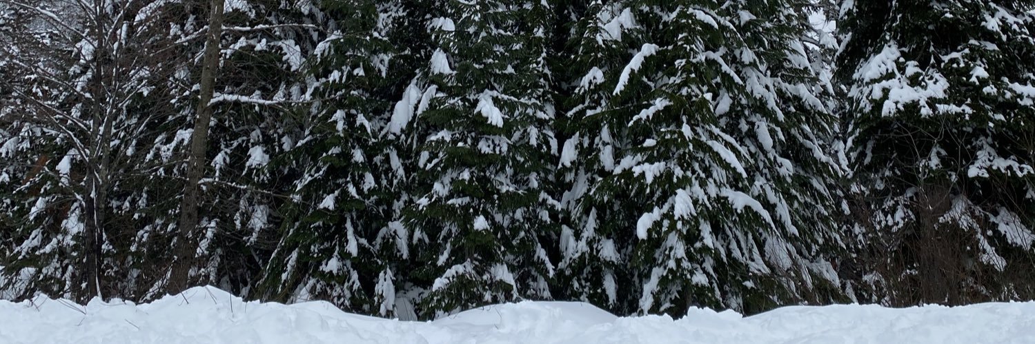 AyanAkbar's profile banner image