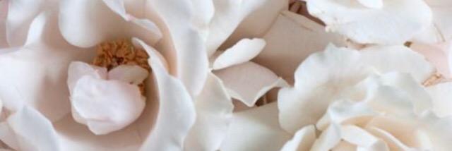 prepyyc's profile banner image