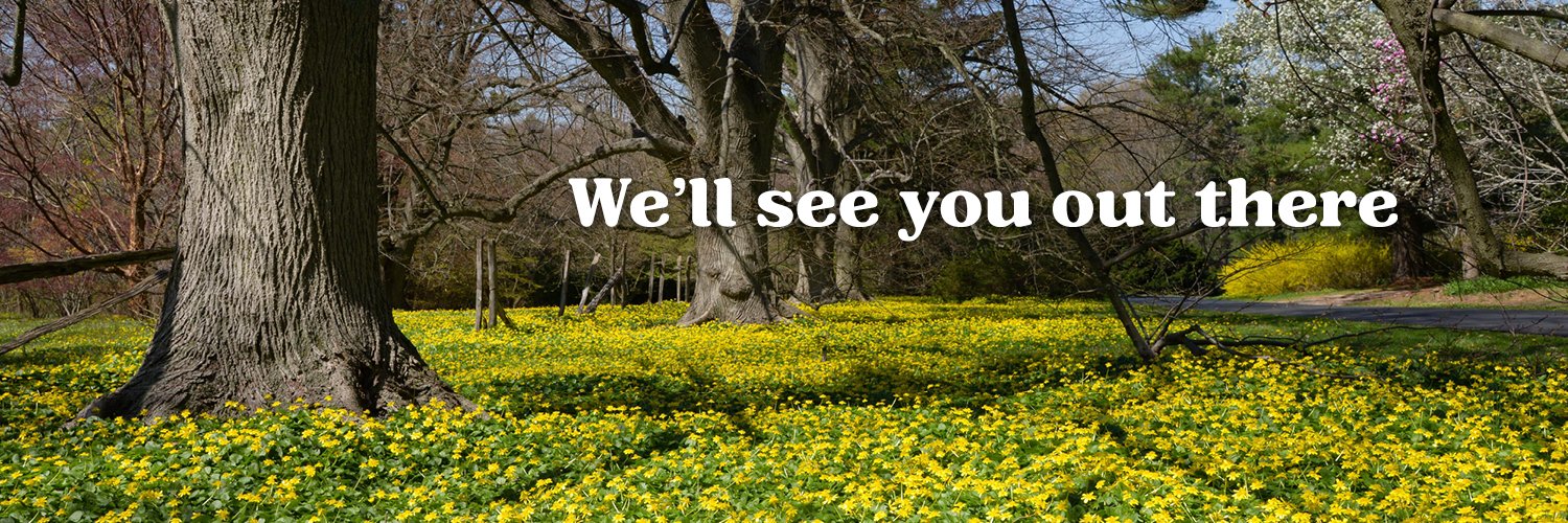 NY State Parks's banner