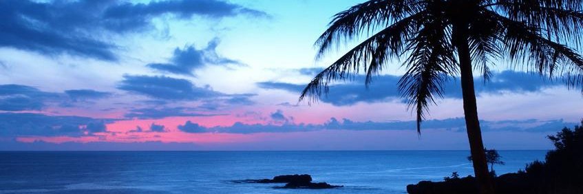 Sammy's Beach Bar Rum banner