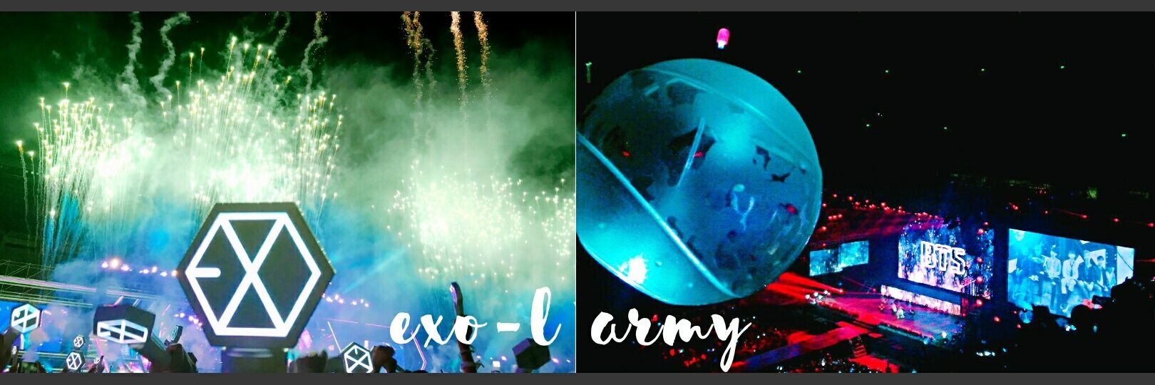 Trishia D. 🐣🐯🐈‍⬛🐶🌙 banner