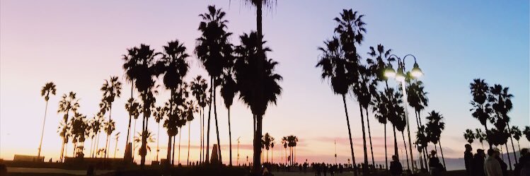 SadieCleven's profile banner image