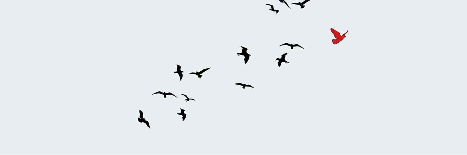BorderHACK's profile banner image