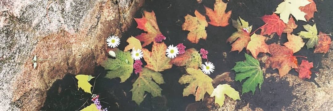 TakahiRoyte's profile banner image