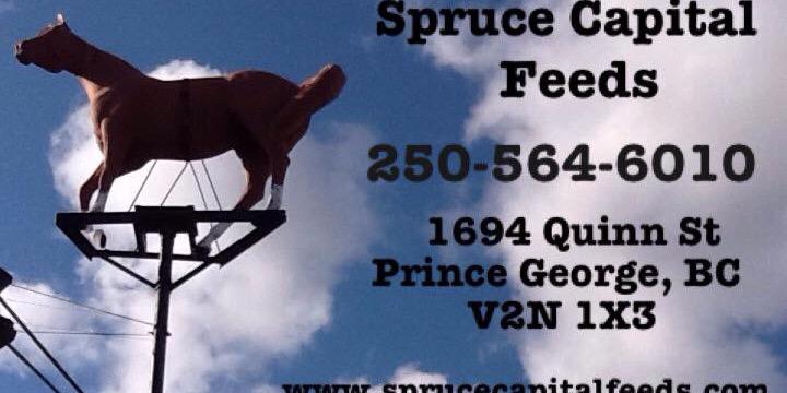 SpruceCapFeeds's profile banner image