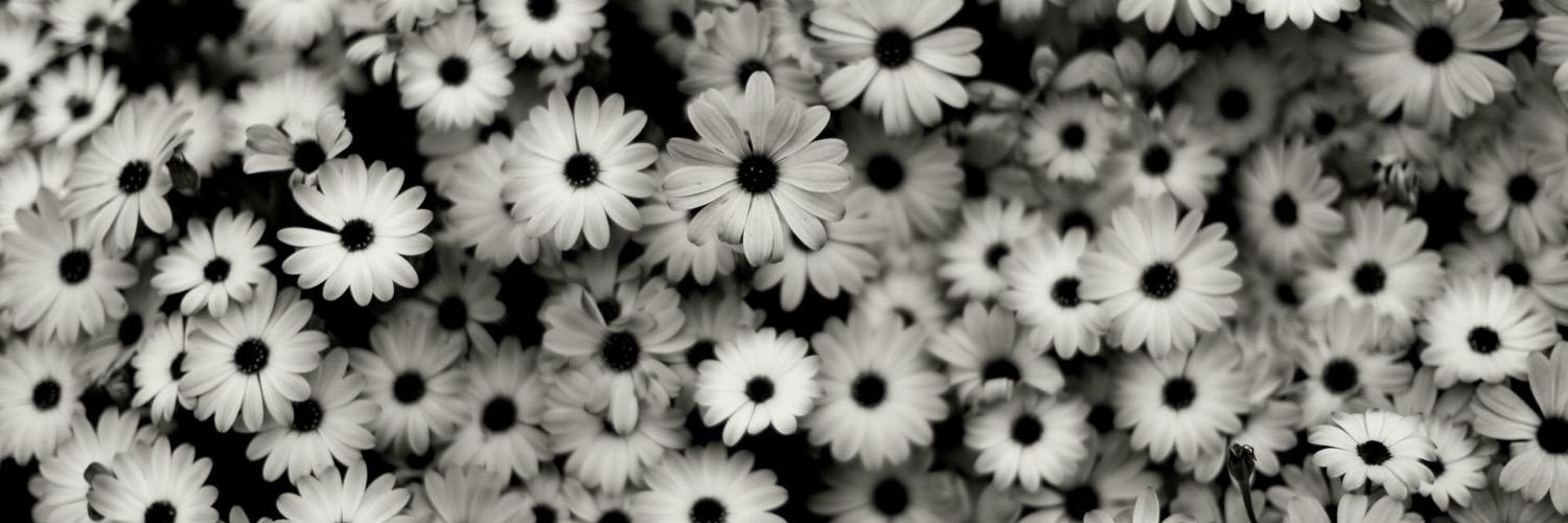 randilynn ☪ banner
