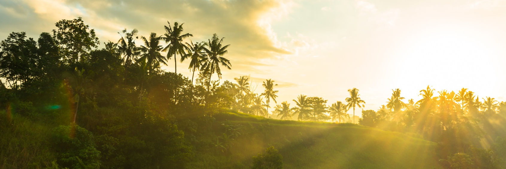 EarthInnovate's profile banner image