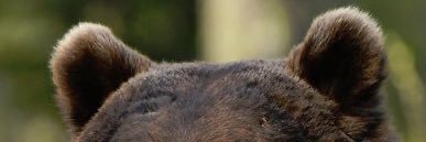 SeitzMikaela's profile banner image