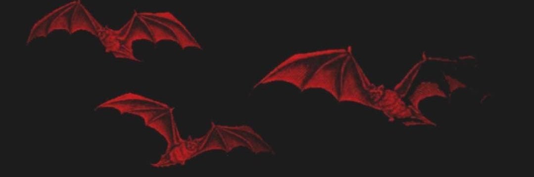 p0sshspice's profile banner image