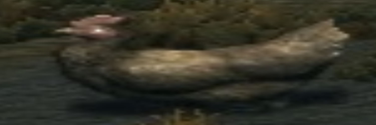 chattanoooooga's profile banner image