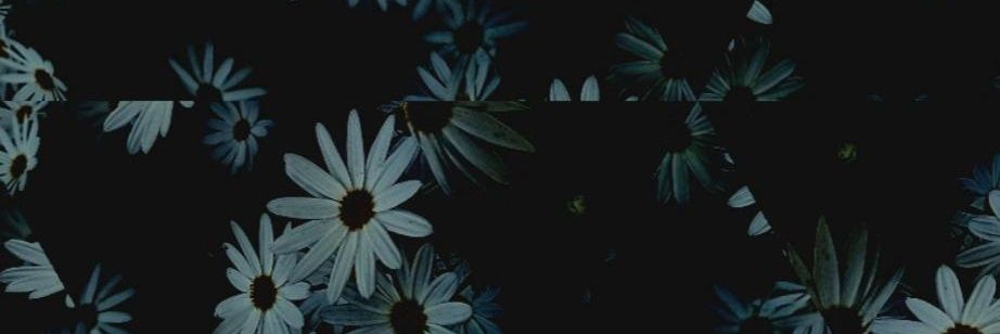 _king_javier's profile banner image