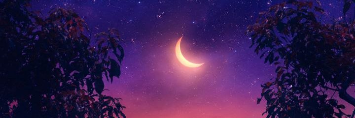 ShallomT1's profile banner image