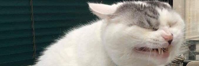 blcakbone's profile banner image