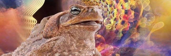 SAPOM0RTO's profile banner image