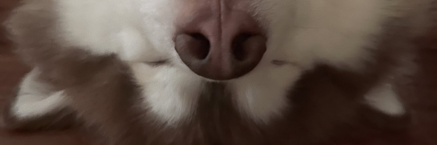 triinakat's profile banner image