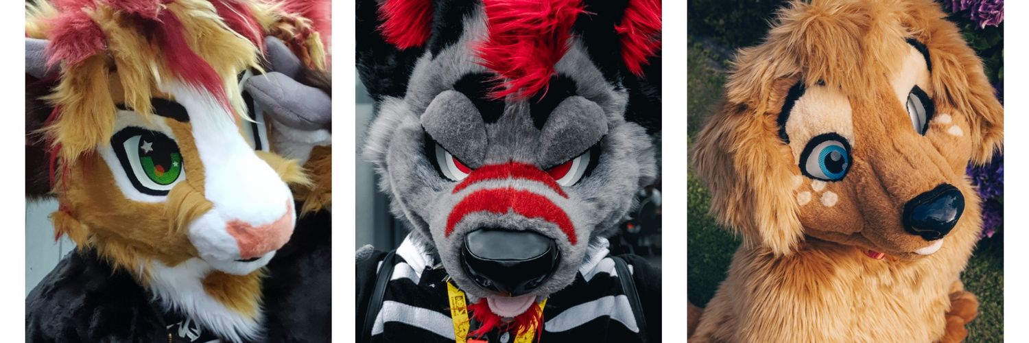 Jacky_Meow's profile banner image