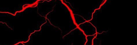 violetmari15's profile banner image