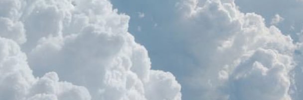 devonneaction's profile banner image