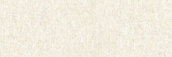leylaayareen's profile banner image